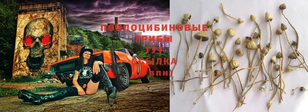 амф Верея