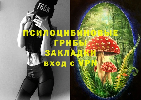крисы Волоколамск
