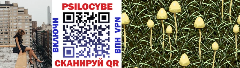 что такое   Абакан  Галлюциногенные грибы мухоморы 